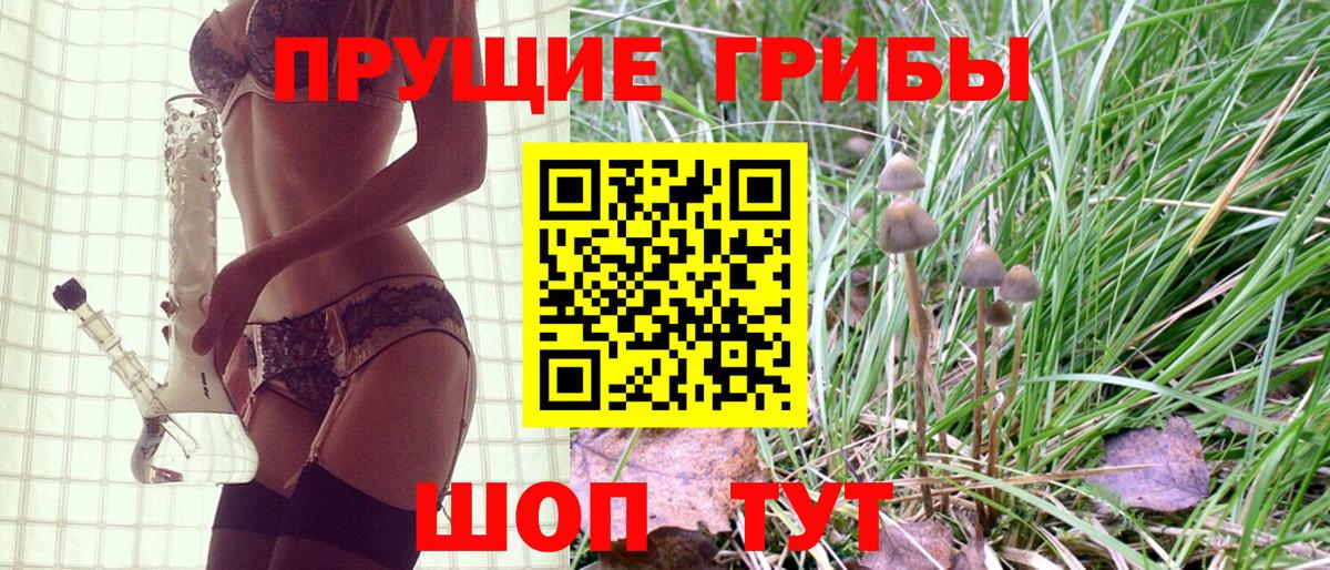 Псилоцибиновые грибы мицелий Сорочинск